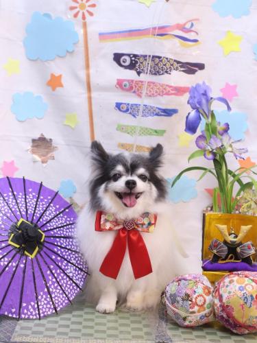 20240521ミルクくん